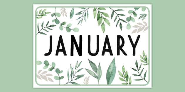 Muted Botanical-Themed January Display Poster (teacher made)