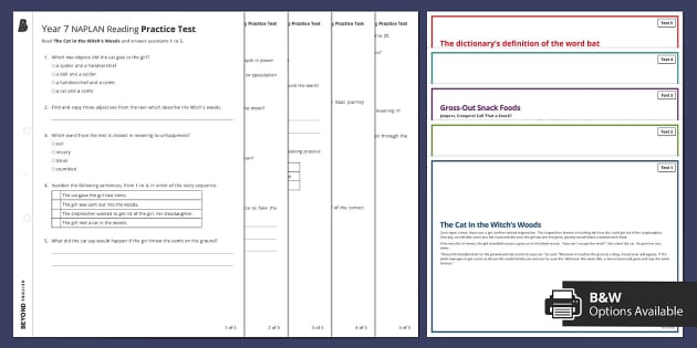 year-7-naplan-reading-practice-test-twinkl-teacher-made