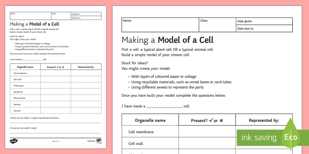 What is a cell wall?  Twinkl Teaching Wiki - Twinkl