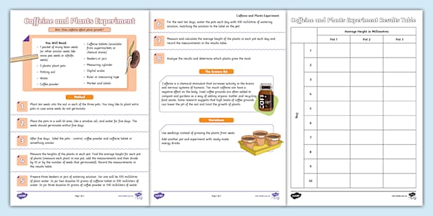 plant experiment with caffeine