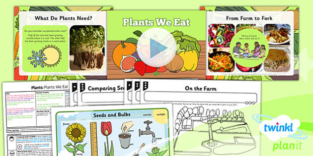 Science: Plants: Plants We Eat Year 2 Lesson Pack 5