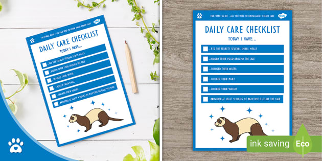 Ferret Care Daily Checklist Pet Care Twinkl Pets