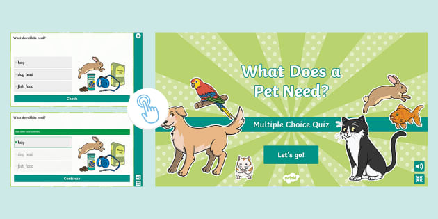 What Does a Pet Need? Interactive Quiz