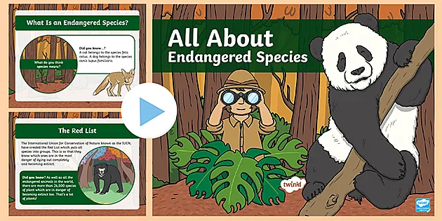 Endangered Species PowerPoint | Project Starter | Grades 4–6