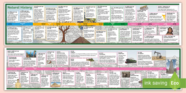The Nature Timeline Stickerbook: From bacteria to humanity: the story of  life on Earth in one epic timeline! (Timeline Stickerbook, 1)
