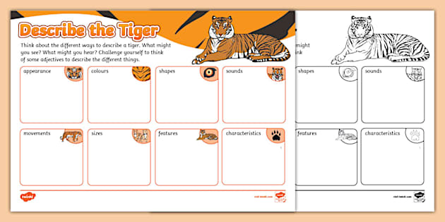 Tiger Adjectives Worksheet (teacher made) - Twinkl