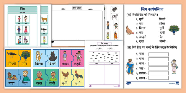 लिंग हिंदी व्याकरण संसाधन पैक Hindi Gender Grammar Resource Pack