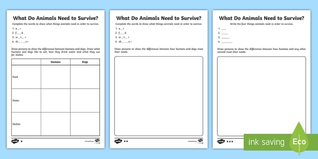 higher-ability-ks1-what-do-animals-need-to-survive-differentiated-activity