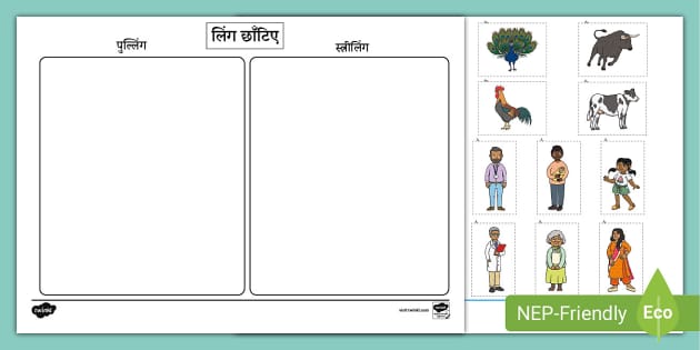 लिंग Ling Gender In Hindi Sorting Activity Twinkl