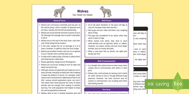 Wolves Fact Sheet for Adults (teacher made) - Twinkl