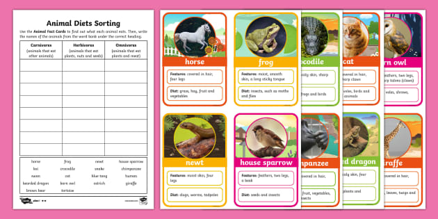 Y1 Animal Diets Sorting Activity Sheet (teacher made)