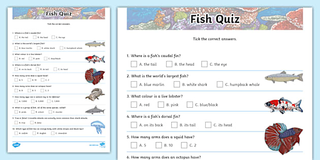 Fish General Knowledge Quiz (teacher made) - Twinkl