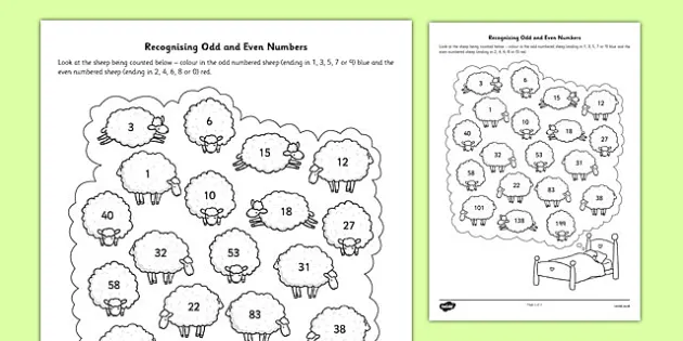 recognising odd and even numbers up to three digits worksheet worksheet