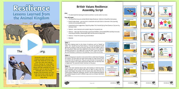 values resilience assembly growth mindset swallow values resilience assembly growth mindset swallow
