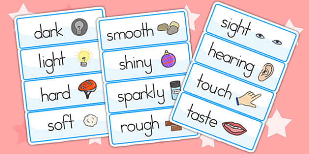 Senses Topic Word Cards - senses, word card, key words