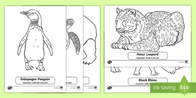 Animals under Threat Colouring Sheets | Primary Resource