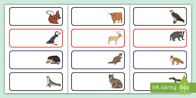 Scottish Wildlife Tray Labels - Handy Resource for Teachers