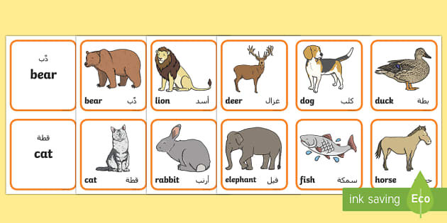 Animals Matching Cards Arabic/English (teacher made)