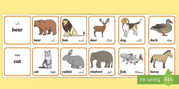 Animals Matching Cards Arabic/English (Teacher-Made)