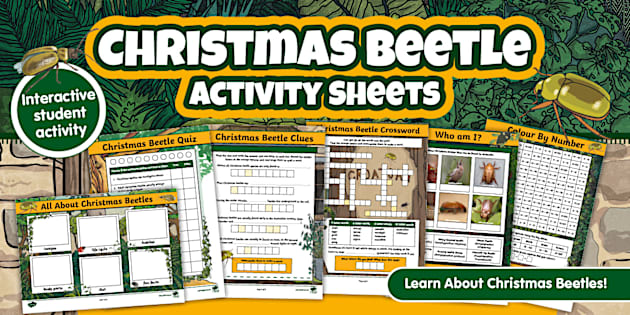Christmas Beetle Activity Sheets
