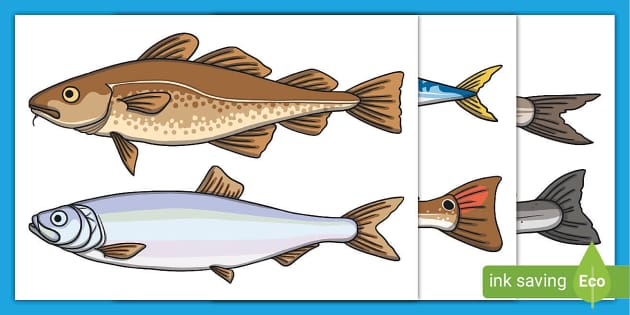 Cartoon Ocean Fish, Fish Cut-Outs