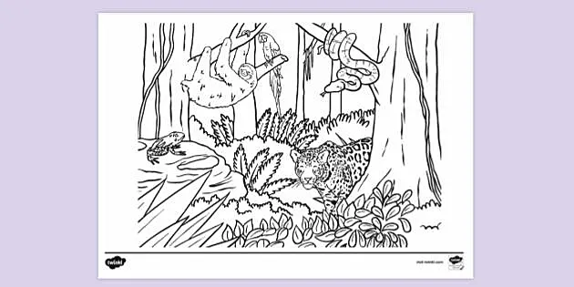 Free Forest Animals Colouring Page - Colouring - KS1