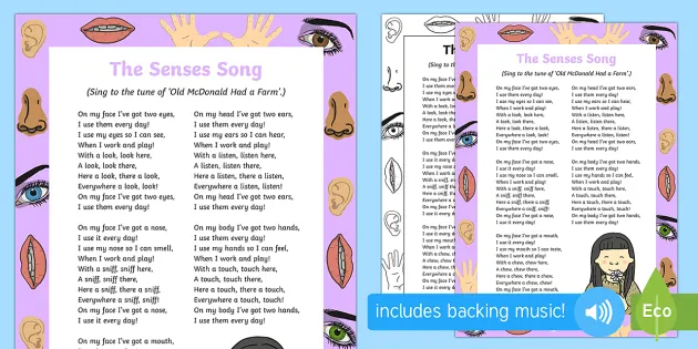 The Senses Song (teacher made) - Twinkl