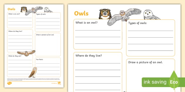 Owls Fact file template owls barn owls (teacher made)