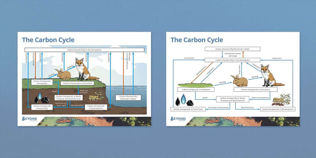 Biomass Carbon Cycle Diagram | NCASI