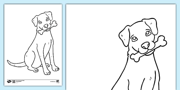 free-printable-dog-colouring-page-colouring-sheets