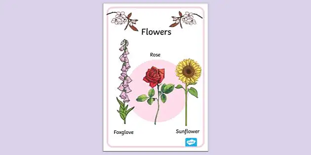 free printable flower poster for kids displays resources