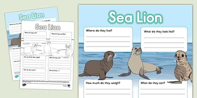 Sea Lion Fact File Template (teacher made) - Twinkl