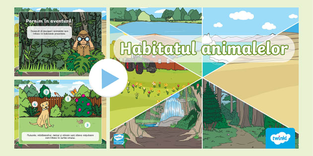 Habitatul animalelor – PowerPoint interactiv