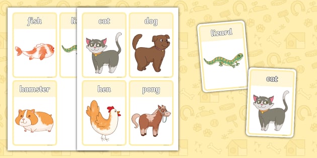 Pet Animals Flashcards (teacher made) - Twinkl