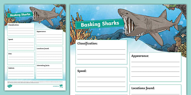 Basking Shark Fact File Template (teacher made) - Twinkl