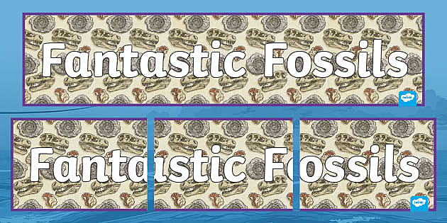 Fantastic Fossils Display Banner (teacher made) - Twinkl