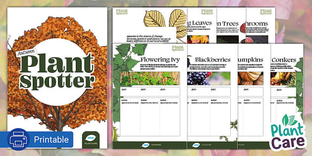 FREE! - Autumn Plant Spotter Booklet (Teacher-Made) - Twinkl