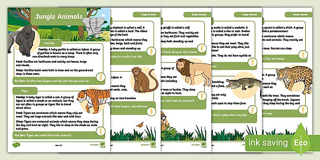 Jungle Animal Fact Files (teacher made) - Twinkl
