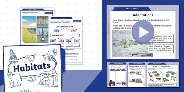 Step Into Science: Y4: Summer: Block 2: Habitats Steps 1 To 4