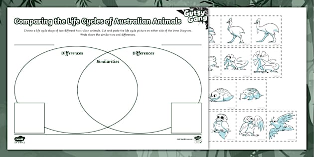 The Gutsy Gang: Bk 1 Comparing Australian Animal Life Cycles