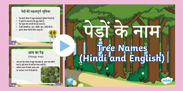 assignment tree in hindi