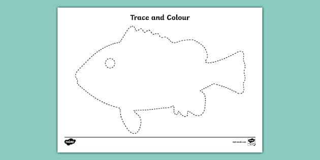 Fish Trace and Colour Worksheet (teacher made) - Twinkl