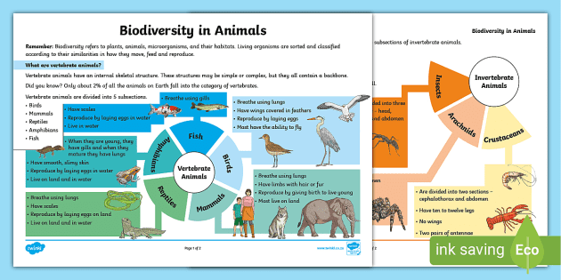 Biodiversity in Animals (teacher made) - Twinkl