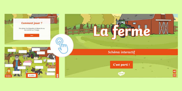 Schéma interactif sur la ferme (teacher made) - Twinkl