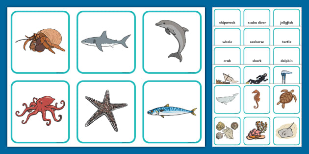 Under the Sea Word and Picture Card Matching Activity