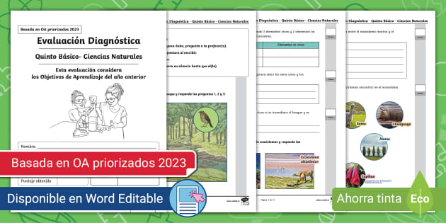 Prueba De Diagnóstico Ciencias Naturales 5º Básico 