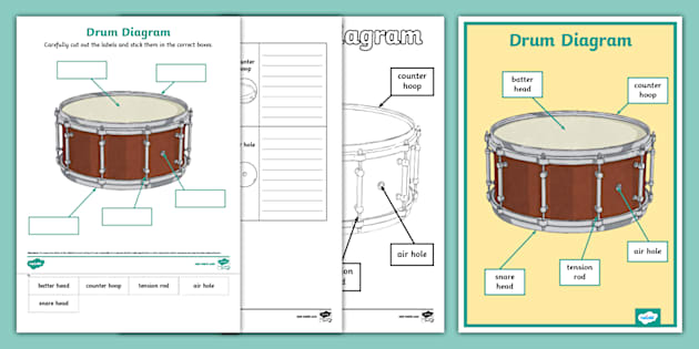 ? Drum Diagram Pack (Teacher-Made) - Twinkl? Drum Diagram Pack (Teacher-Made) - Twinkl  