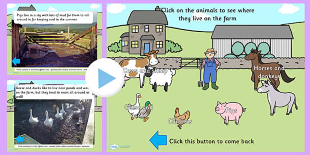 On the Farm Animal Homes PowerPoint - on the farm, on the farm