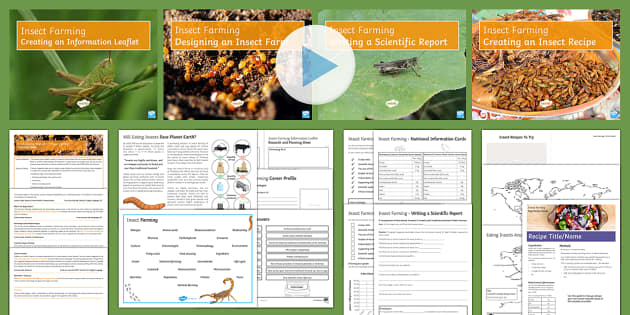 British Science Week 2017: Insect Farming Resource Pack