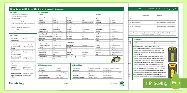 Global Issues Revision Worksheet / Worksheets French